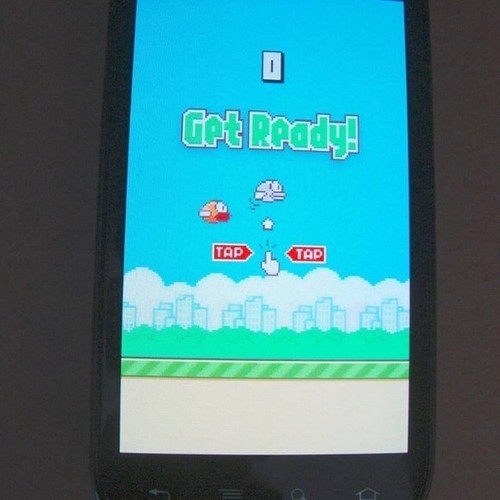 Originale flappy b1rd 2013 - flappy,